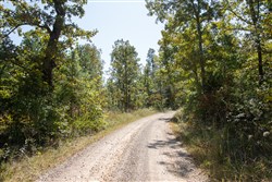 Borgmanns Hollow Phase III Tract 95