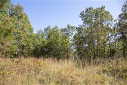 Borgmanns Hollow Phase III Tract 95