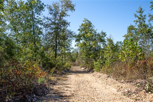 Borgmanns Hollow Phase IV Tract 103