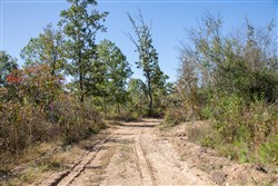 Borgmanns Hollow Phase IV Tract 103