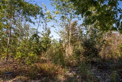 Borgmanns Hollow Phase IV Tract 103