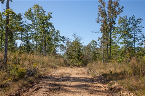 Borgmanns Hollow Phase IV Tract 106