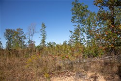 Borgmanns Hollow Phase IV Tract 106
