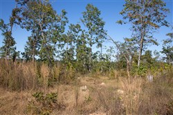 Borgmanns Hollow Phase IV Tract 106
