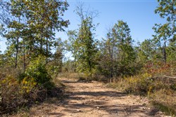 Borgmanns Hollow Phase IV Tract 106