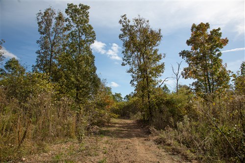 Borgmanns Hollow Phase IV Tract 116