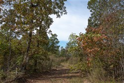 Borgmanns Hollow Phase IV Tract 116