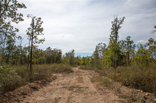 Borgmanns Hollow Phase IV Tract 119