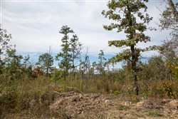 Borgmanns Hollow Phase IV Tract 119