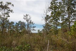 Borgmanns Hollow Phase IV Tract 119