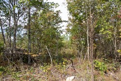 Borgmanns Hollow Phase IV Tract 120
