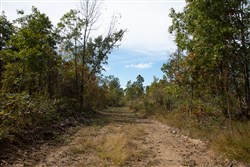 Borgmanns Hollow Phase IV Tract 120