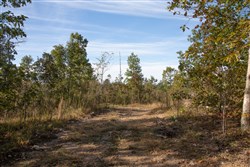 Borgmanns Hollow Phase IV Tract 125