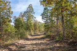 Borgmanns Hollow Phase IV Tract 125