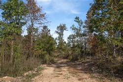 Borgmanns Hollow Phase IV Tract 126