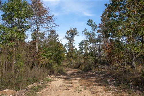 Borgmanns Hollow Phase IV Tract 126