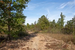 Borgmanns Hollow Phase IV Tract 127