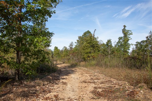 Borgmanns Hollow Phase IV Tract 127
