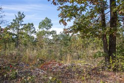 Borgmanns Hollow Phase IV Tract 127