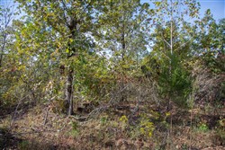 Borgmanns Hollow Phase IV Tract 127