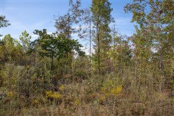 Borgmanns Hollow Phase IV Tract 127