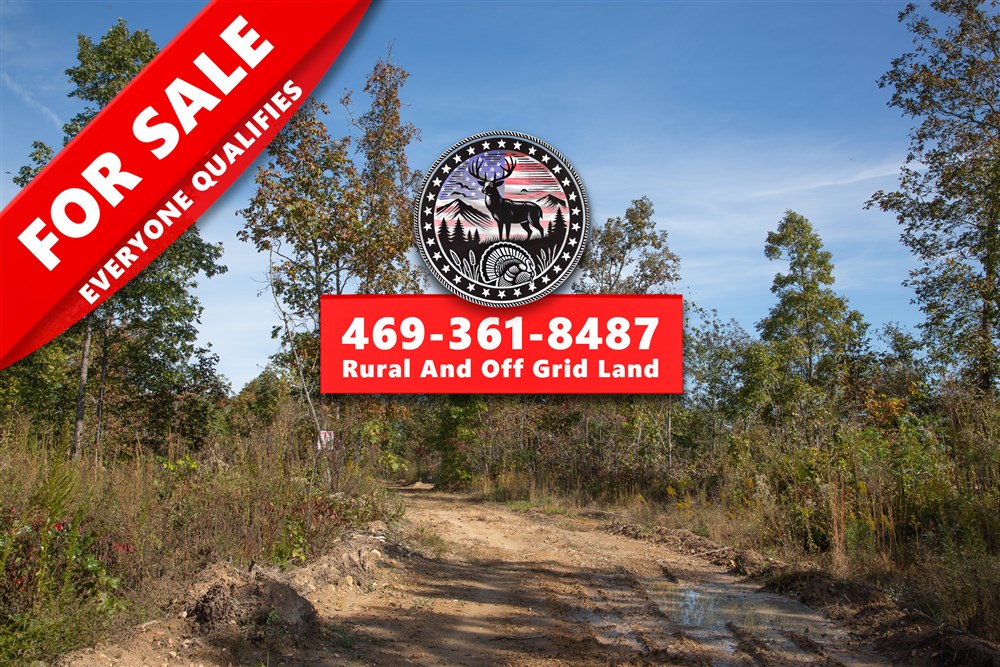 Borgmanns Hollow Phase IV Tract 130 - Primary