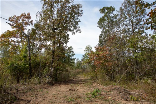 Borgmanns Hollow Phase IV Tract 133