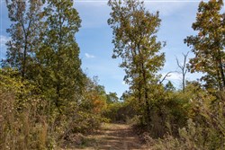 Borgmanns Hollow Phase IV Tract 133