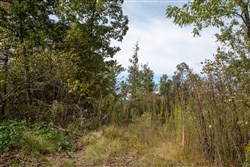 Borgmanns Hollow Phase IV Tract 133