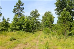 property photo for Green Mountain Ranch Tract 17, 13.85 acres for sale in Shannon County, Missouri
