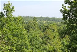 property photo for Green Mountain Ranch Tract 17, 13.85 acres for sale in Shannon County, Missouri