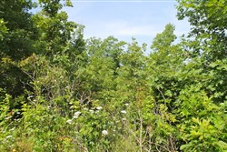 property photo for Green Mountain Ranch Tract 17, 13.85 acres for sale in Shannon County, Missouri