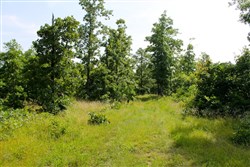 property photo for Green Mountain Ranch Tract 17, 13.85 acres for sale in Shannon County, Missouri