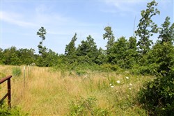property photo for Green Mountain Ranch Tract 17, 13.85 acres for sale in Shannon County, Missouri