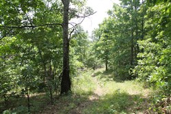 Green Mountain Ranch Tract 40