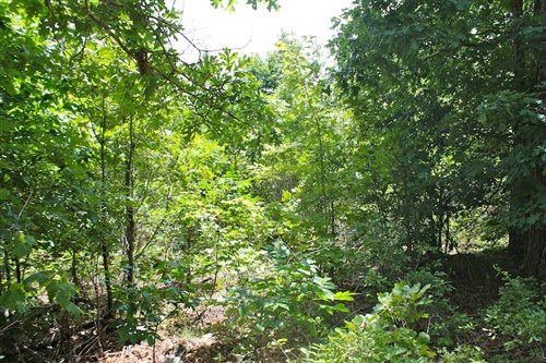 Green Mountain Ranch Tract 40