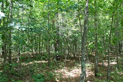 Green Mountain Ranch Tract 40