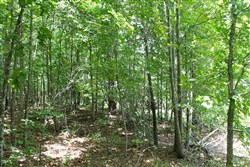 Green Mountain Ranch Tract 40