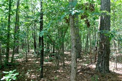 Green Mountain Ranch Tract 40