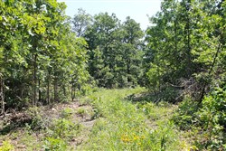property photo for Green Mountain Ranch Tract 48, 10.57 acres for sale in Shannon County, Missouri