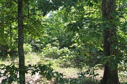 property photo for Green Mountain Ranch Tract 48, 10.57 acres for sale in Shannon County, Missouri