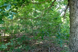 property photo for Green Mountain Ranch Tract 48, 10.57 acres for sale in Shannon County, Missouri