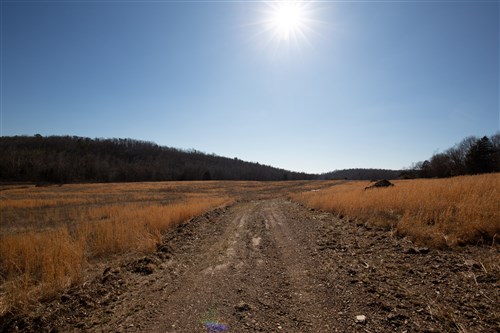Oconnor Crossing Tract 19