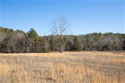 Oconnor Crossing Tract 19