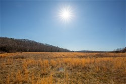 Oconnor Crossing Tract 19