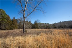 Oconnor Crossing Tract 19