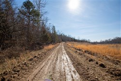 Oconnor Crossing Tract 23