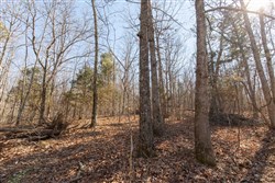 Oconnor Crossing Tract 23