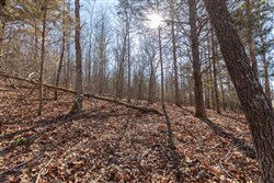 Oconnor Crossing Tract 23