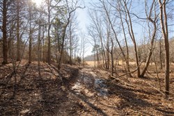 Oconnor Crossing Tract 23